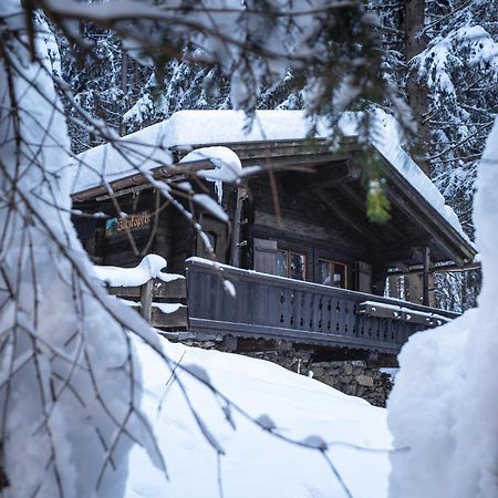 Kitzkopf Huette Villa Mayrhofen Ngoại thất bức ảnh